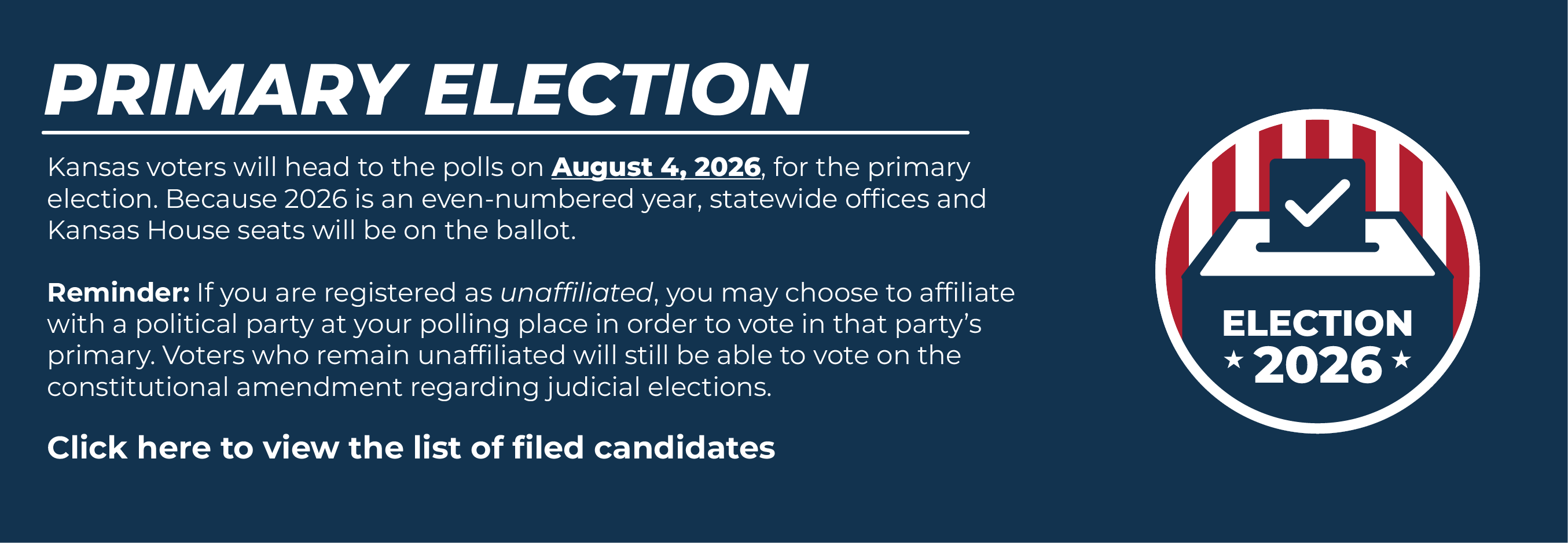 Primary Election image